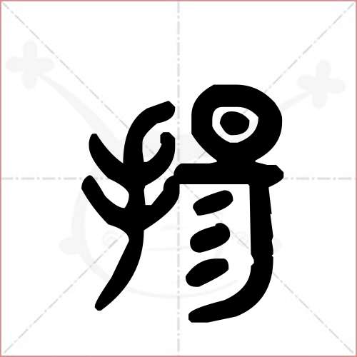 杨字的甲骨文 金文图片